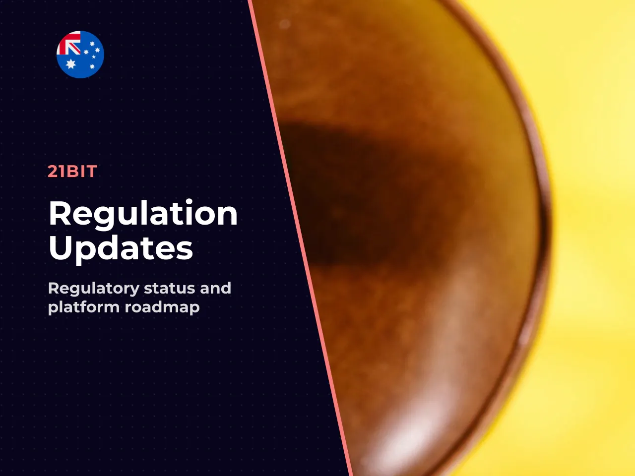 Developer updates and regulatory status, 2024